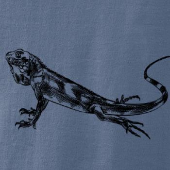 Tužkou kreslený Leguán 