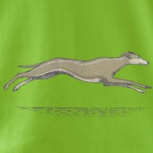 Vintage Greyhound Vintage Greyhound