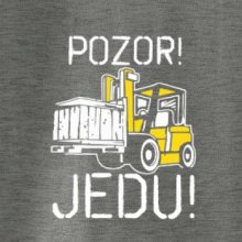 Pozor jedu ještěrka