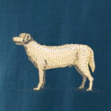 Vintage Labrador Vintage Labrador