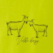 Velké kozy