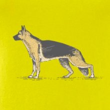 Vintage German shepherd