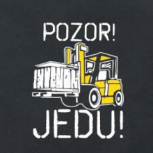 Pozor jedu ještěrka