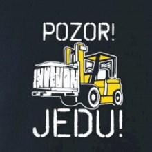 Pozor jedu ještěrka