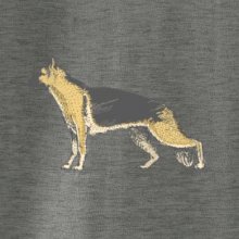 Vintage German shepherd