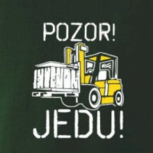Pozor jedu ještěrka