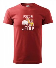Pozor jedu ještěrka