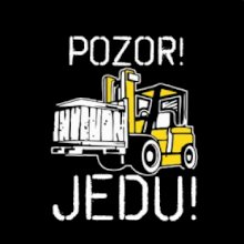 Pozor jedu ještěrka
