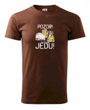 Pozor jedu ještěrka
