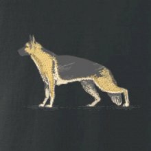 Vintage German shepherd