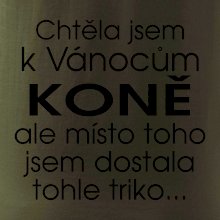 Chtěla jsem k Vánocům koně