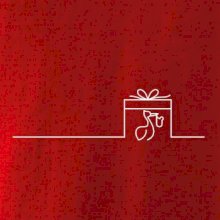 Těhotenství - dárek