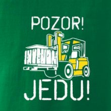 Pozor jedu ještěrka