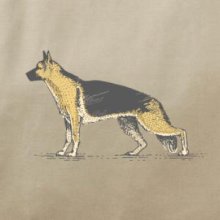 Vintage German shepherd