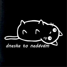 Dneska to nedávám