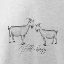 Velké kozy