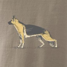 Vintage German shepherd