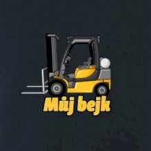 Můj bejk ještěrka