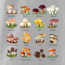 Atlas hub - triko s houbami