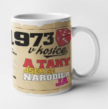Hrnek - 1973 v kostce pro ženu