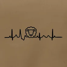 Ekg ovce