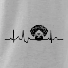 Lagotto romagnolo hlava EKG