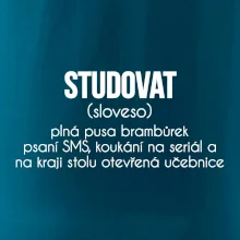 Studovat