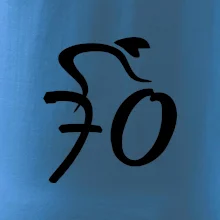 Cyklista slaví sedmdesátku (70)