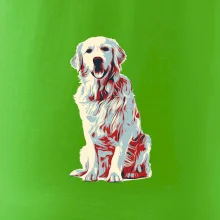 Zlatý retriever vintage