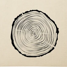 Letokruhy 25 bez věku