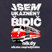 Jsem ukázněný řidič - tramvaj