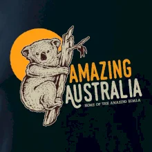 Amazing Australia koala
