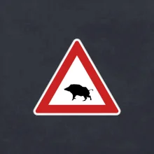Dopravní značka - Pozor divočák