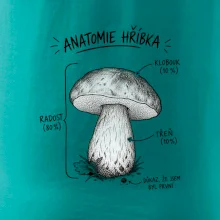 Anatomie hříbka