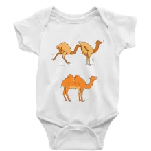 Pravda o velbloudech