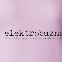 Čeština 2.0 - elektrobuzna