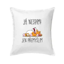 Já nespím, jen přemýšlím