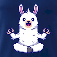 Yoga meditace - lama