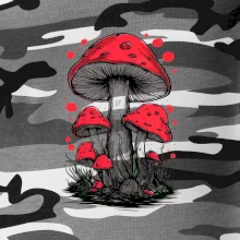 Goblincore Cottagecore Mushrooms