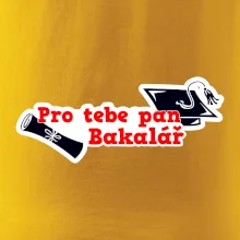 Pro tebe pan Bakalář