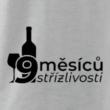 9 měsíců střízlivosti