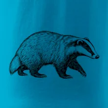 Zvířata Krkonoš – jezevec lesní