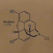Molekulární struktura Morfin