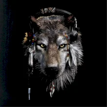 Vlk indián se sluchátky