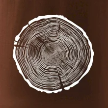 Letokruhy 85 bez věku