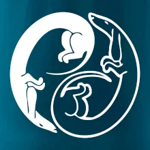 Jezevčíci - Jin jang