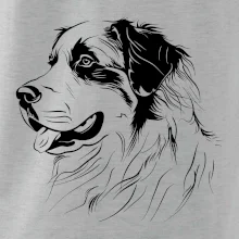 Bernský salašnický pes černá kresba