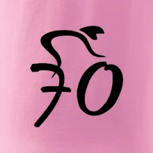 Cyklista slaví sedmdesátku (70)