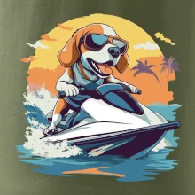 Bígl na vodním skútru