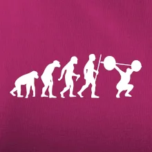 Evolution fitness
